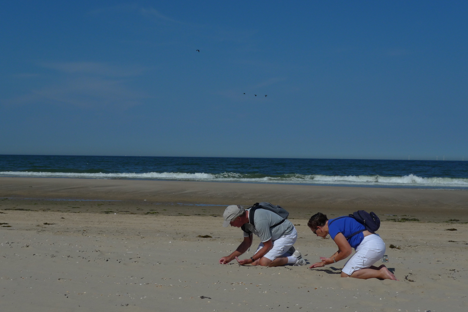 Hans and Marja van Weenen collecting plastic pellets at their beach in Castricum, Netherlands