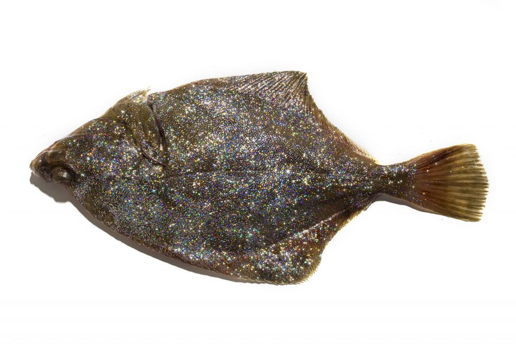 For this piece titled "discofish", artist Swaantje Güntzel coated plaice in glitter particles extracted from commercially available cosmetic products. Image: Henriette Pogoda