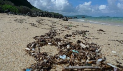 Plastikmüll im Meer: Zahlen und Größen im Vergleich