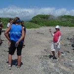 beach cleanup