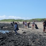 beach cleanup 3
