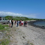 beach cleanup arrival