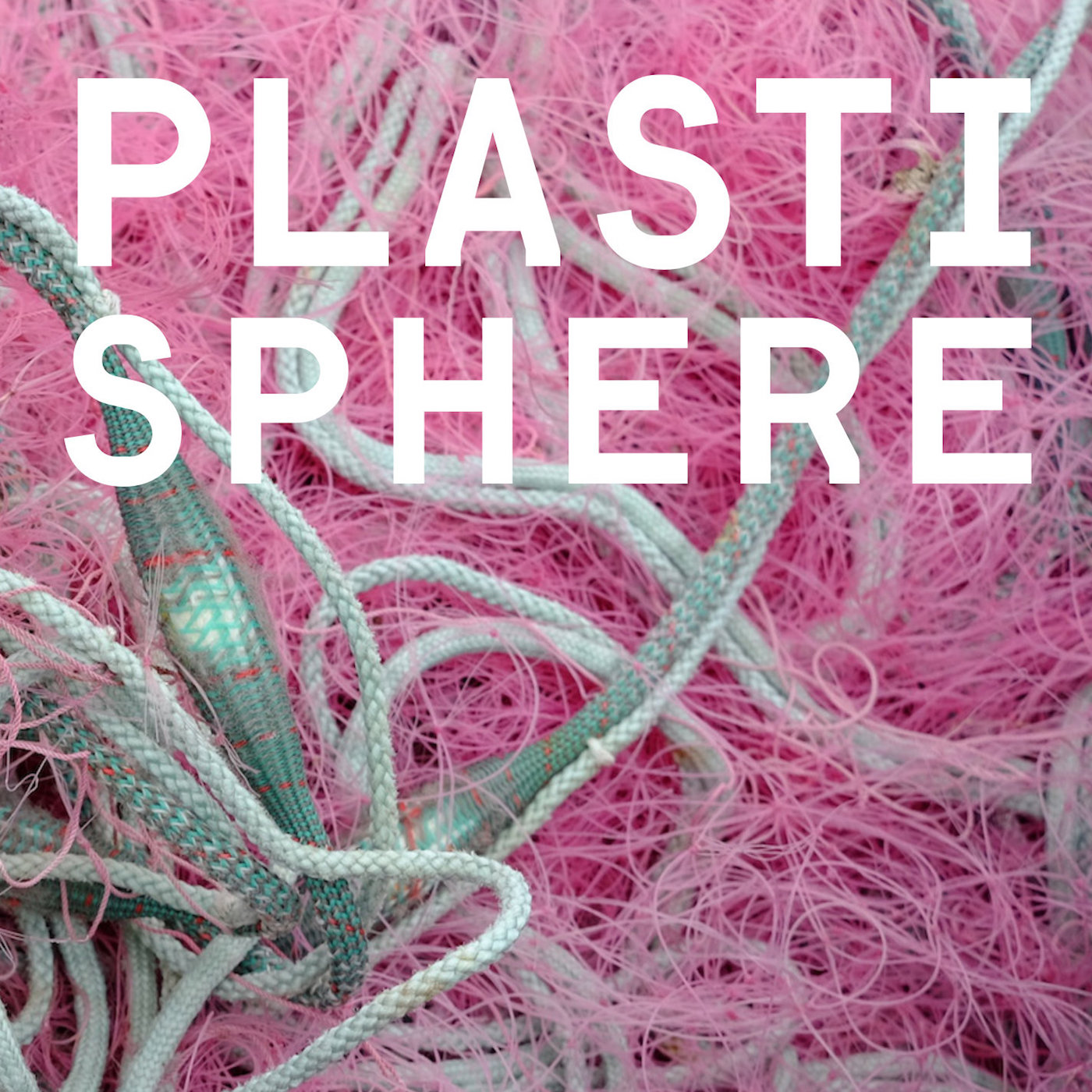 Plastisphere