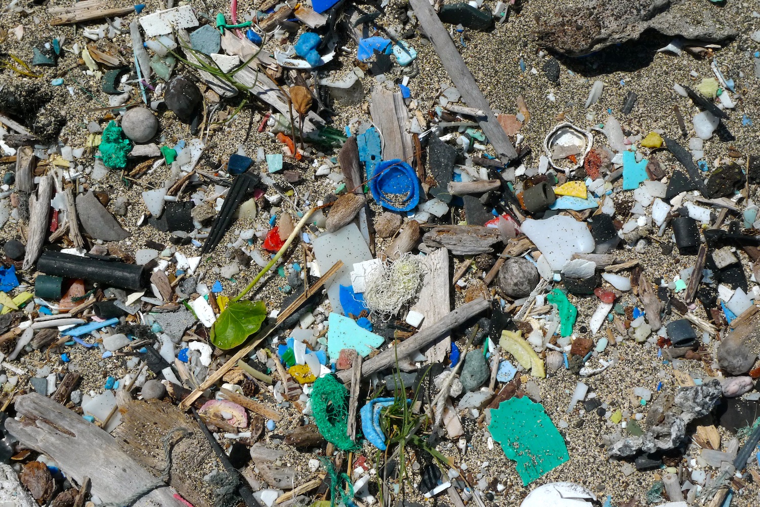 Plastik im Meer